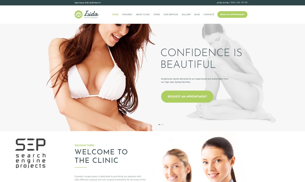 Plastic Surgery Marketing and Web Site Designing