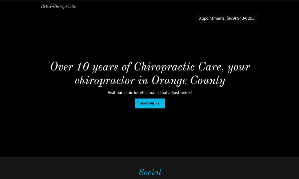 chiropractic marketing website before search engine projects